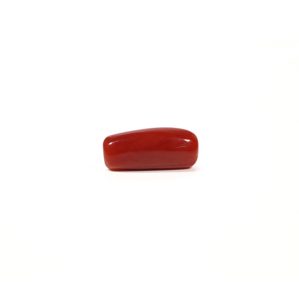 Red Coral - 5.42 Carat - Pramogh