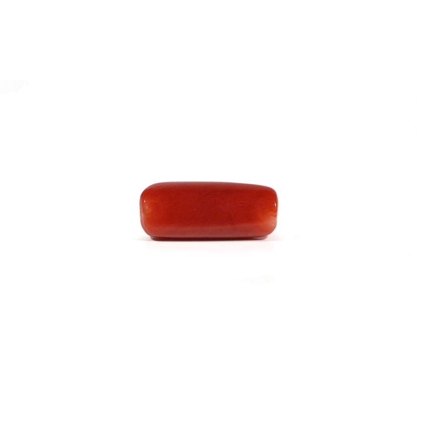 Red Coral - 5.42 Carat