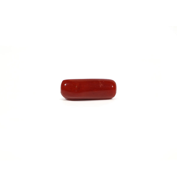 Red Coral - 5.31 Carat - Pramogh
