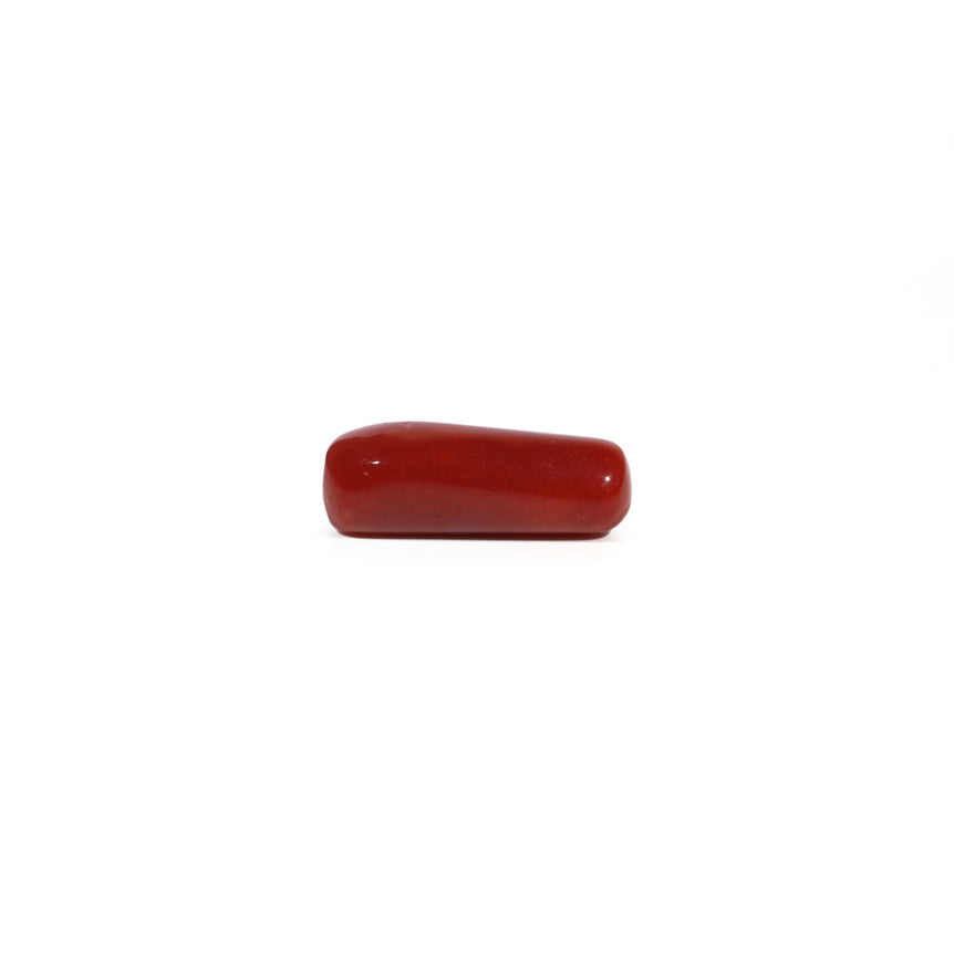 Red Coral - 5.31 Carat