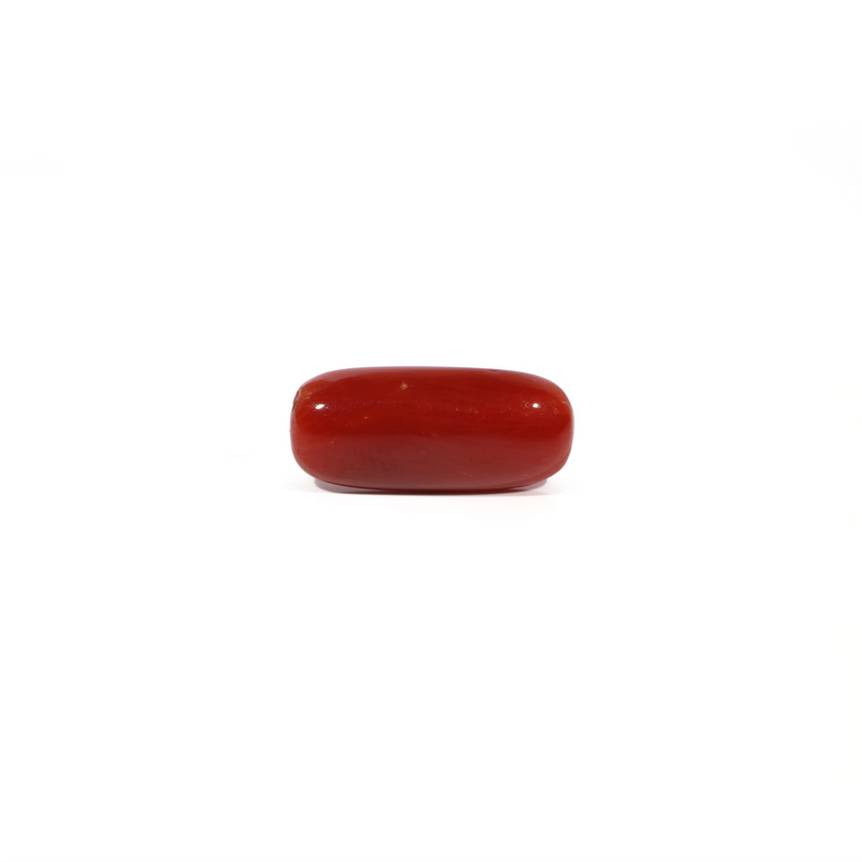 Red Coral - 5.6 Carat - Pramogh