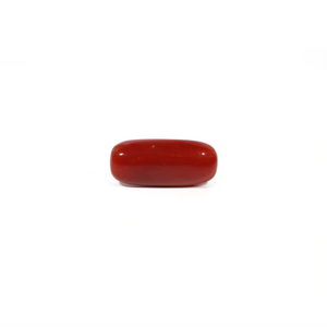 Red Coral - 5.6 Carat - Pramogh