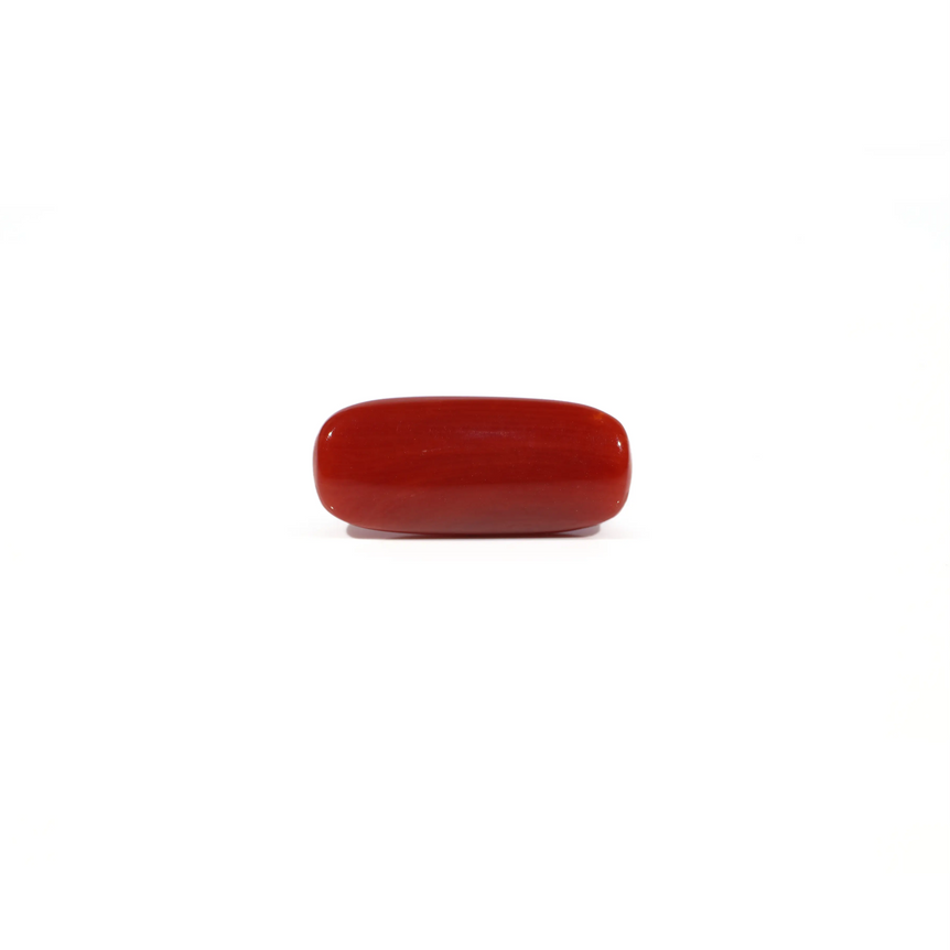 Red Coral - 5.6 Carat