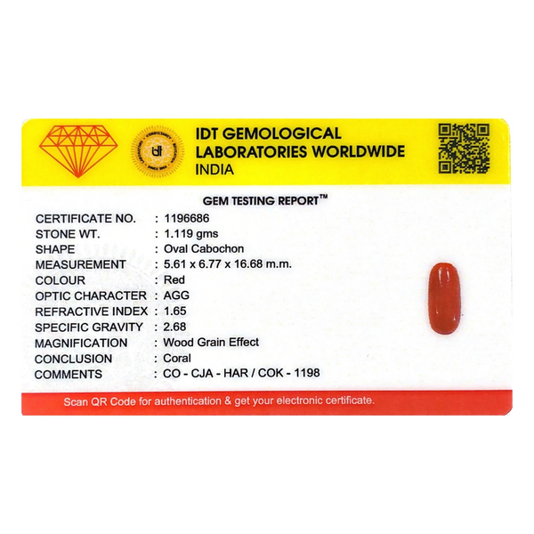 Red Coral - 5.6 Carat