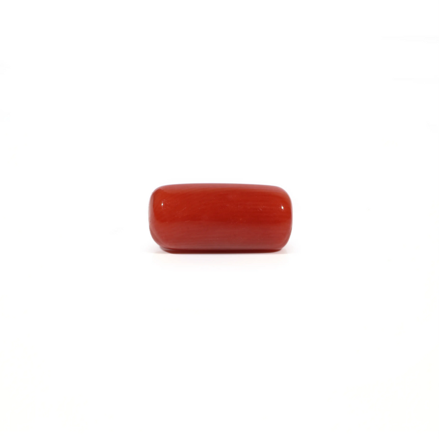 Red Coral - 5.53 Carat - Pramogh