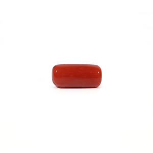 Red Coral - 5.53 Carat - Pramogh
