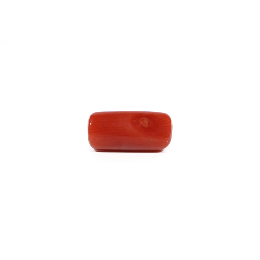 Red Coral - 5.53 Carat