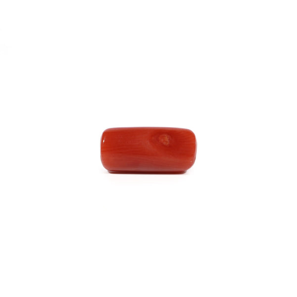 Red Coral - 5.53 Carat