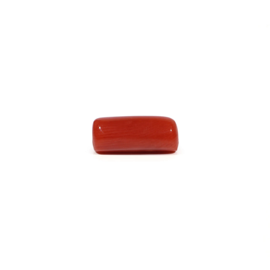 Red Coral - 5.53 Carat