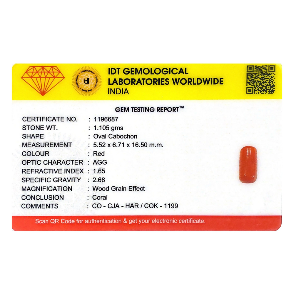 Red Coral - 5.53 Carat