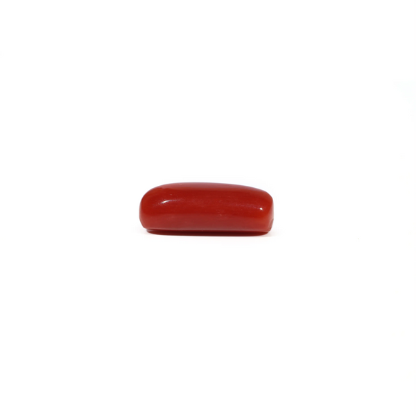 Red Coral - 5.45 Carat