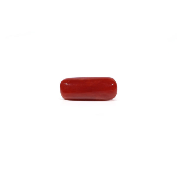 Red Coral - 5.58 Carat - Pramogh