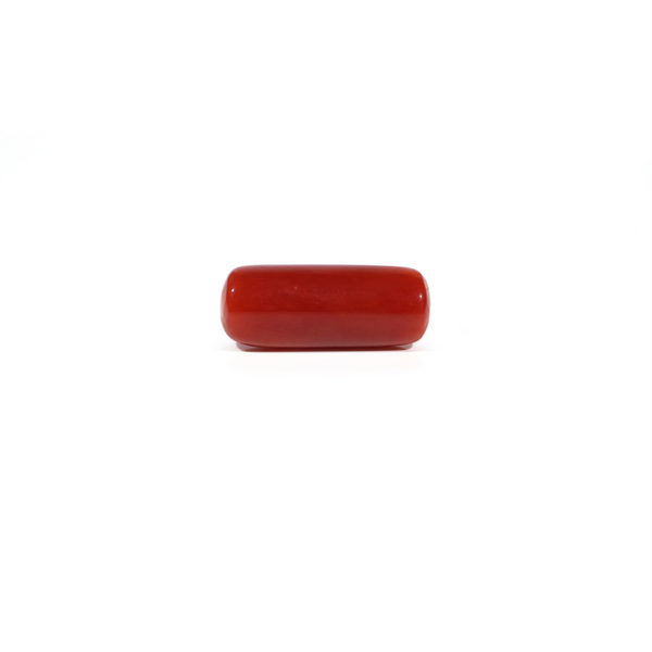 Red Coral - 5.58 Carat