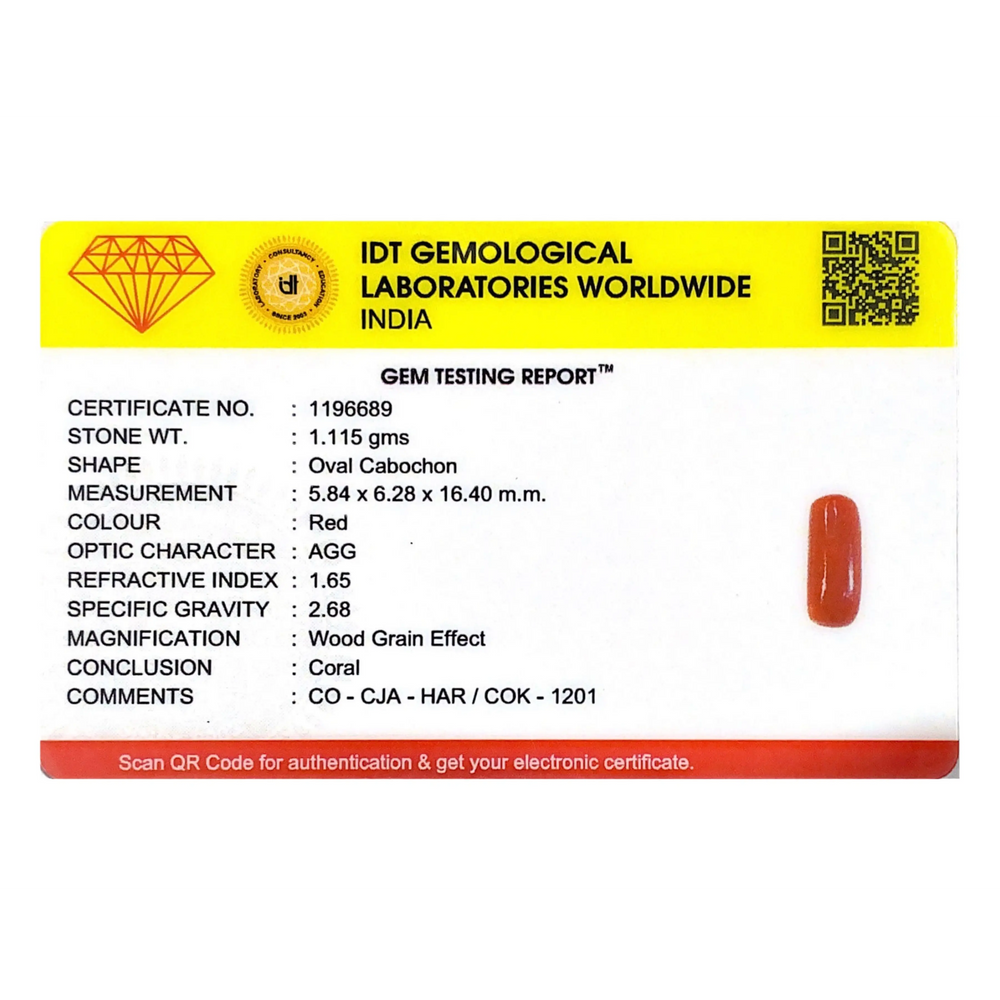 Red Coral - 5.58 Carat