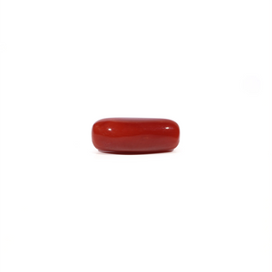 Red Coral - 5.45 Carat - Pramogh