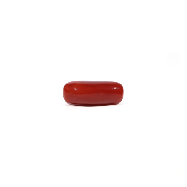 Red Coral - 5.45 Carat - Pramogh