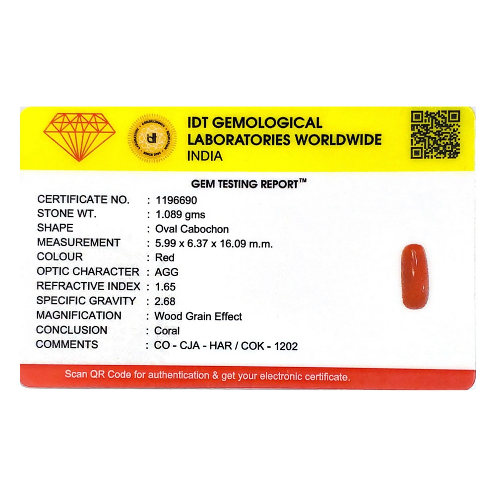 Red Coral - 5.45 Carat