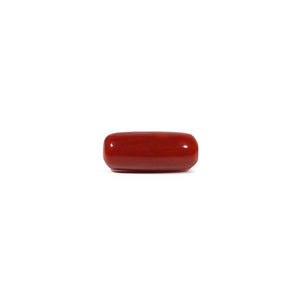 Red Coral - 6.56 Carat - Pramogh