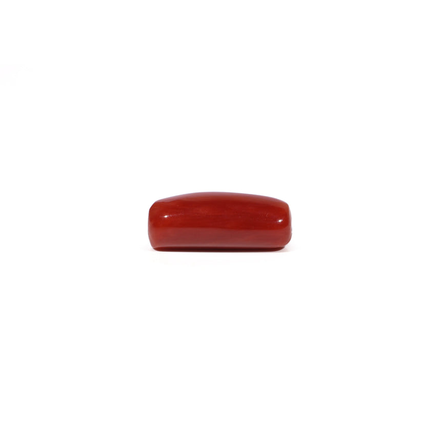 Red Coral - 6.56 Carat