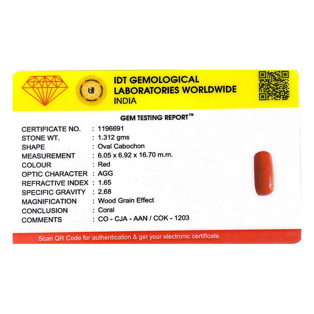 Red Coral - 6.56 Carat