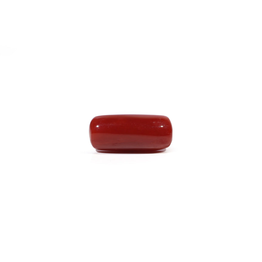 Red Coral - 6.35 Carat - Pramogh