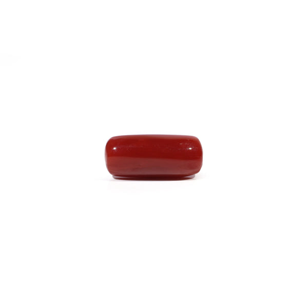 Red Coral - 6.35 Carat - Pramogh