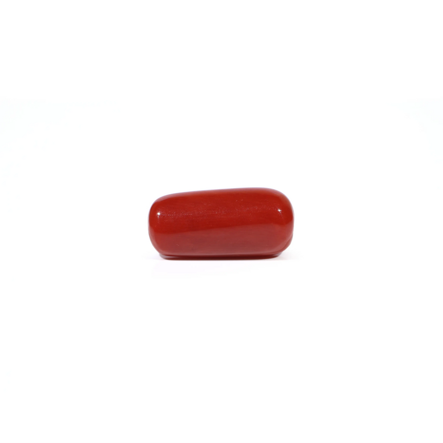 Red Coral - 6.95 Carat - Pramogh