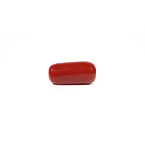 Red Coral - 6.95 Carat - Pramogh