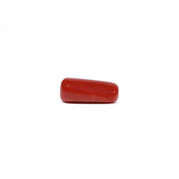 Red Coral - 6.95 Carat