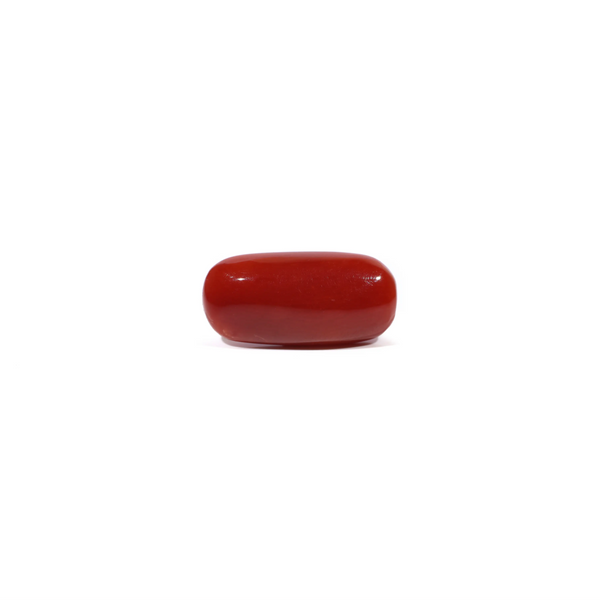 Red Coral - 6.54 Carat - Pramogh