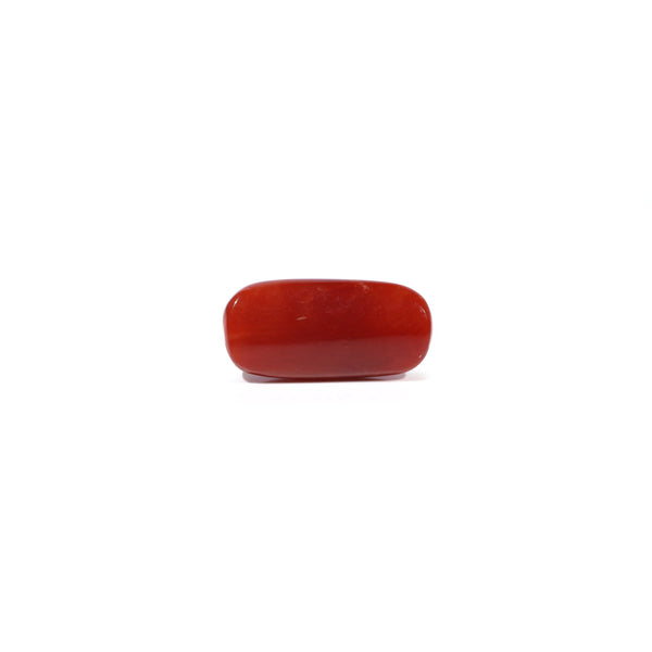 Red Coral - 6.54 Carat