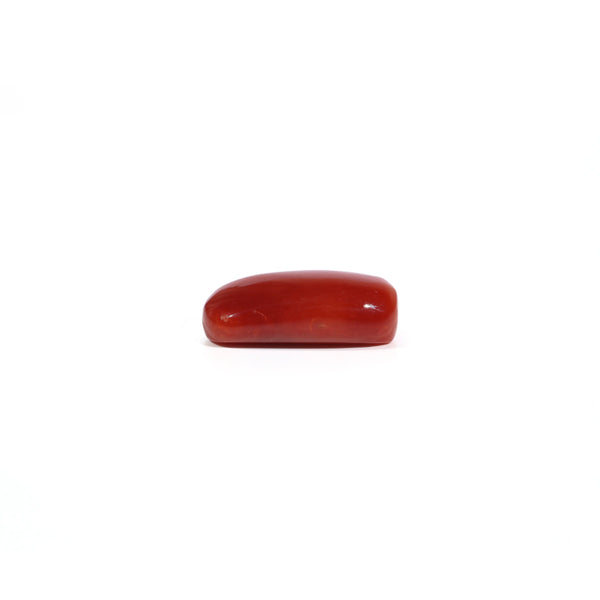 Red Coral - 6.54 Carat