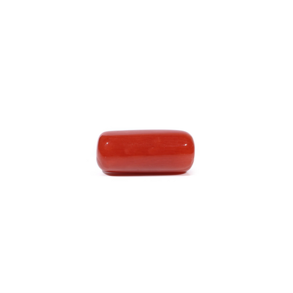 Red Coral - 6.3 Carat - Pramogh