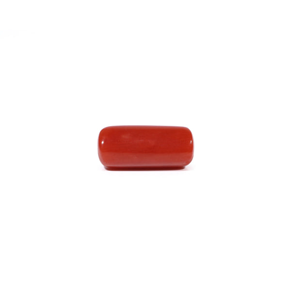 Red Coral - 6.3 Carat