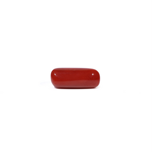 Red Coral - 6.04 Carat - Pramogh