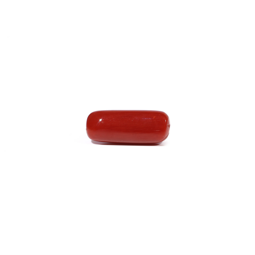 Red Coral - 6.04 Carat