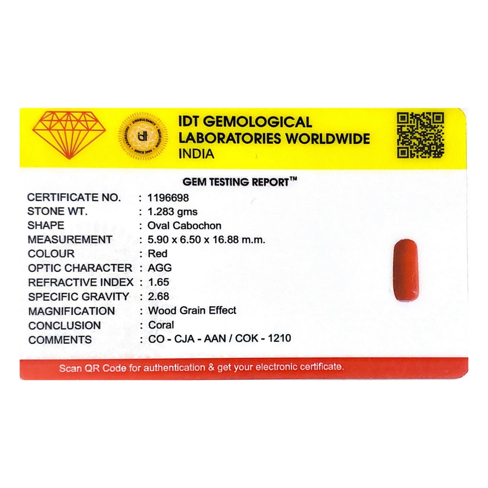 Red Coral - 6.42 Carat