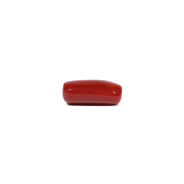 Red Coral - 6.39 Carat