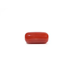 Red Coral - 6.11 Carat - Pramogh