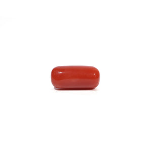 Red Coral - 6.11 Carat - Pramogh