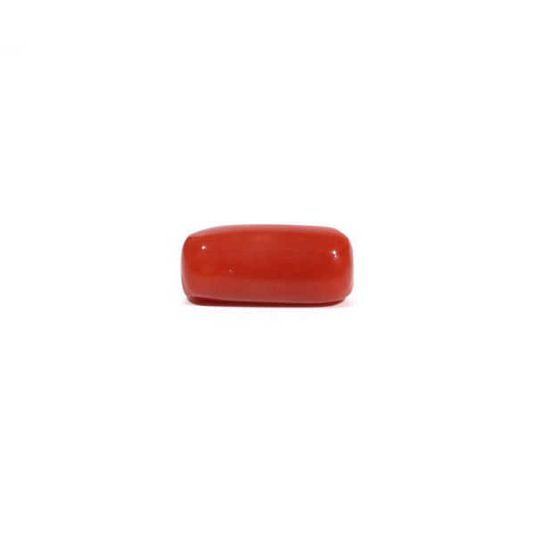 Red Coral - 6.11 Carat