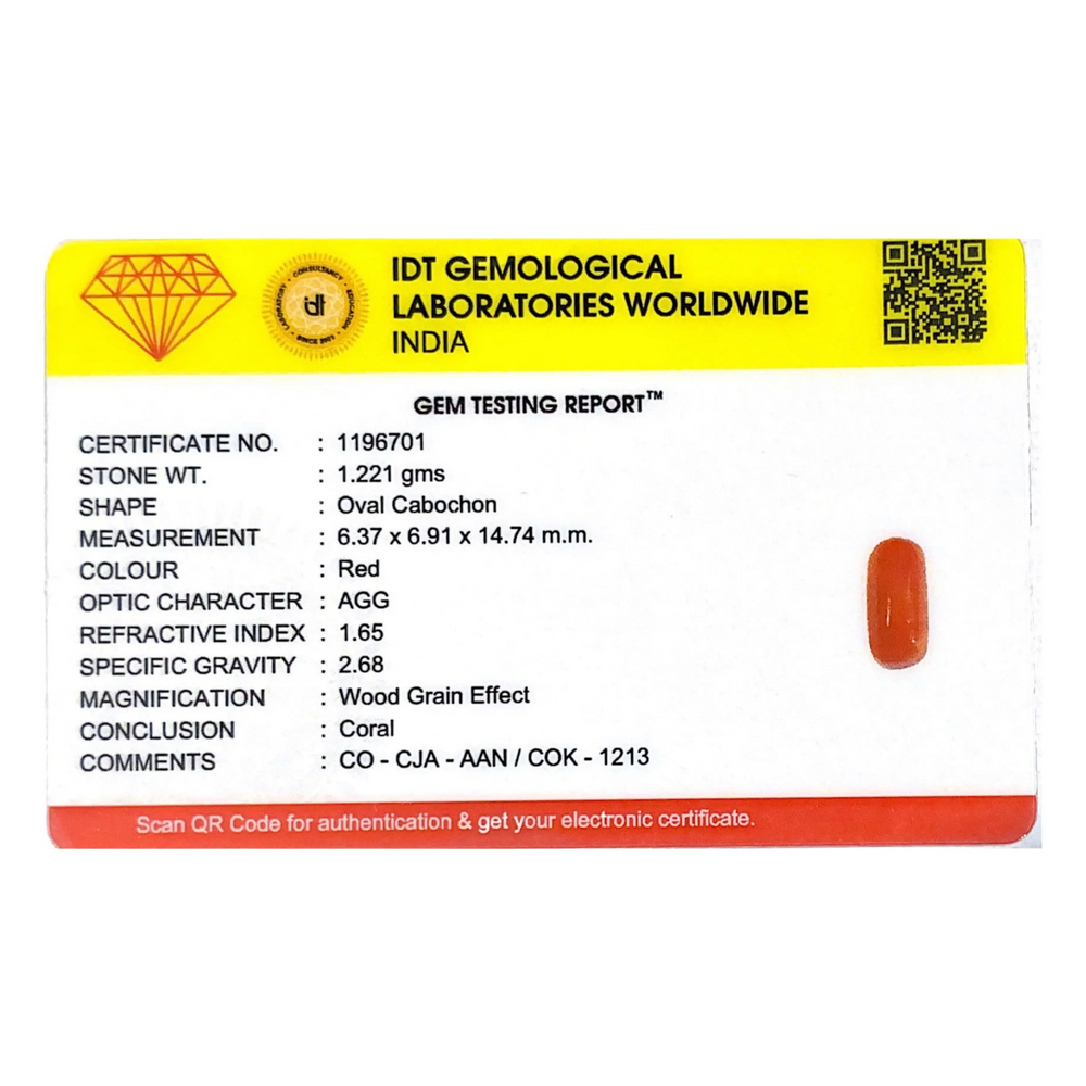 Red Coral - 6.11 Carat