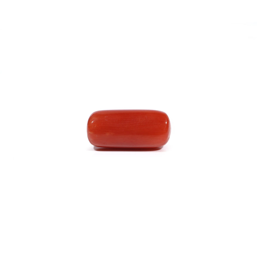 Red Coral - 6.3 Carat