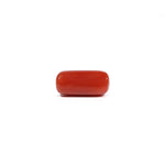 Red Coral - 6.3 Carat