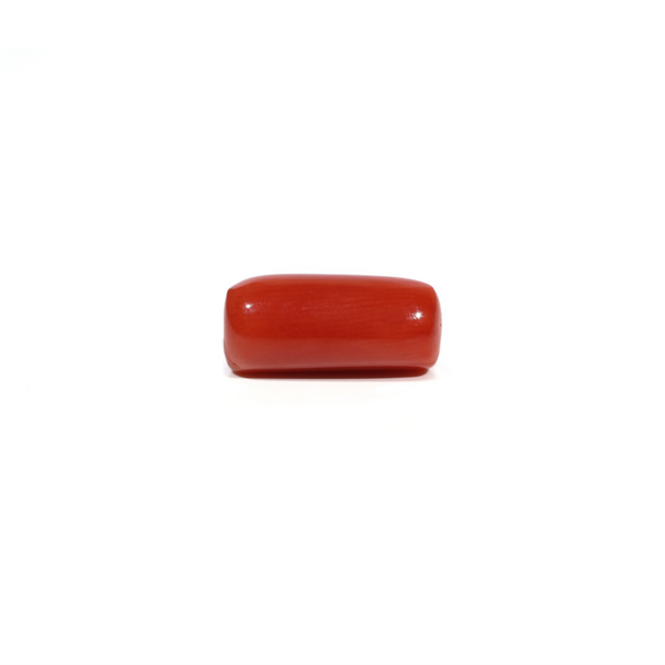 Red Coral - 6.3 Carat