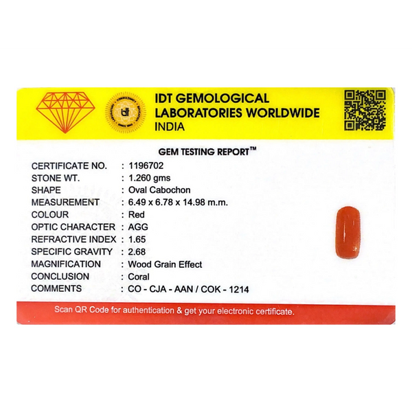 Red Coral - 6.3 Carat