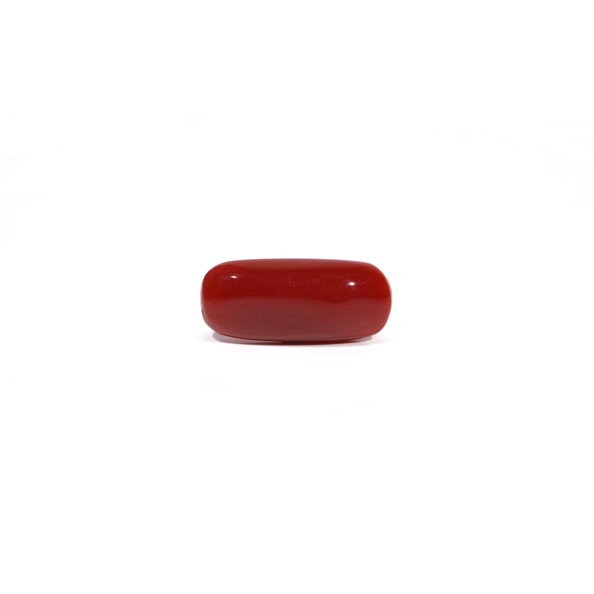 Red Coral - 6.04 Carat - Pramogh