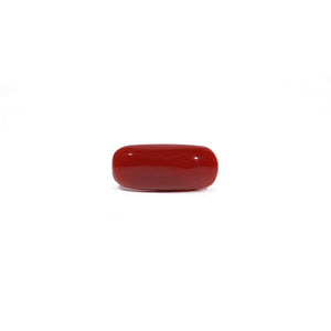 Red Coral - 6.04 Carat - Pramogh