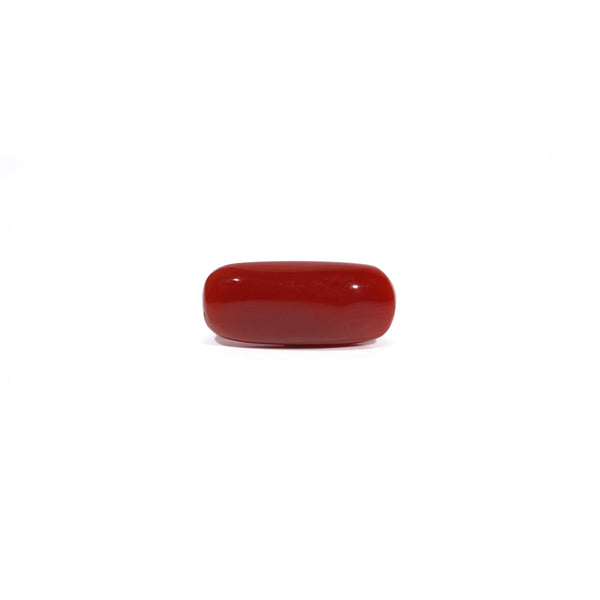 Red Coral - 6.04 Carat - Pramogh