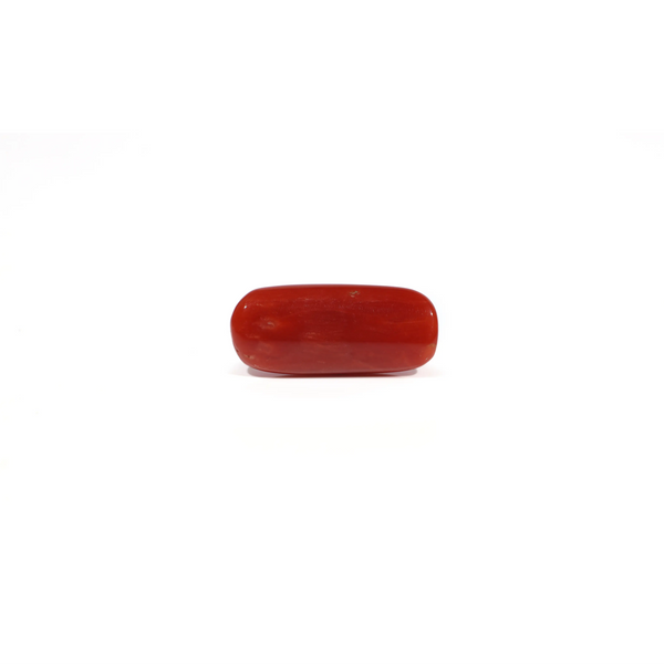 Red Coral - 6.04 Carat